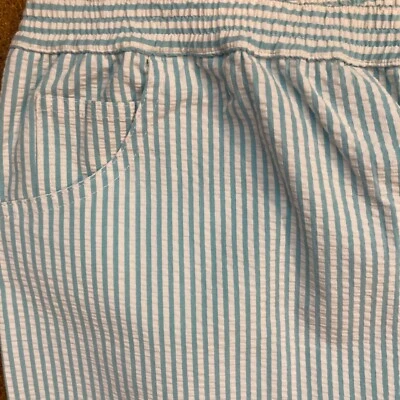 Quacker Factory Turquoise White Seersucker Stretch Capri Sz 3XL Pockets Pull On - Image 1 of 4