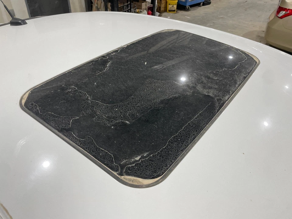 2013 - 2020 Ford Fusion Sunroof Glass (Glass Only) - Image 1 of 1