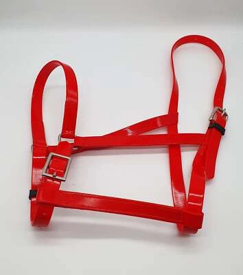 Biothane Pferdehalfter Kopfhalsband verstellbares Nasenband rot Größe volle Kolbenpony - Bild 1 von 4