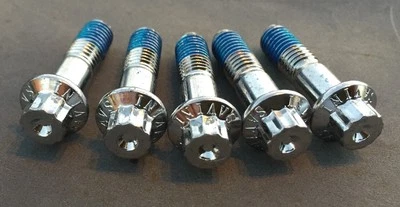 SAVINI Assembly Bolts And Nut For 2 And 3 Piece Wheels Chrome Plated Real  5 Pcs Foto 1 de 4