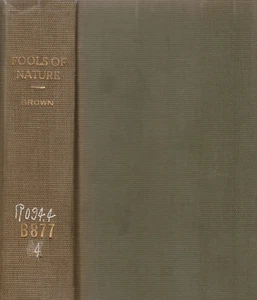 FOOLS OF NATURE (1887) ALICE BROWN, 1ST EDITION NOVEL - Picture 1 of 1