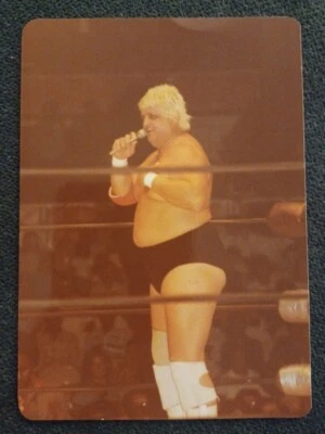 💥1️⃣9️⃣8️⃣3️⃣ Оригинальная винтажная фотография Пыльного Родса 3,5x5 NWA WWF WCW борьба - Изображение 1 из 2