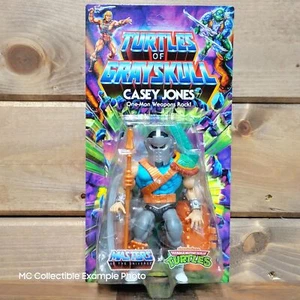Figura de acción Turtles of Grayskull Casey Jones TMNT MOTU Origins 6 sin perforar - Imagen 1 de 5