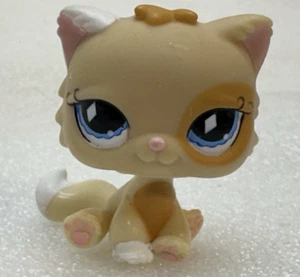Littlest Pet Shop Kätzchen Kätzchen Katze sitzend blaue Rautenaugen Wackelkopf 2006 - Bild 1 von 9