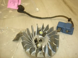 Echo CS-590 Timber Wolf Coil Schwungrad Kettensäge Teilbehälter 395 - Bild 1 von 5