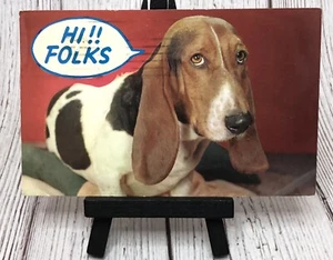 Basset Hound Hi Folks Greetings Dog Animal Vintage Postcard - Picture 1 of 4