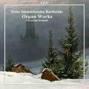 Felix Mendelssohn Felix Mendelssohn Bartholdy: Organ Works (CD) Box Set - Picture 1 of 1