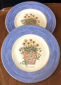 SARAH'S GARDEN Set of 2 Salad Plates 8.25" Wedgwood Lavender Blue England EUC - Picture 1 of 6