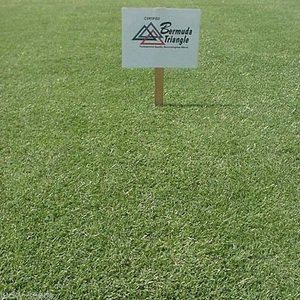 (En pedido pendiente hasta 2026) Semilla de hierba Pennington Triangle Bermuda - 1 lb. - Imagen 1 de 1