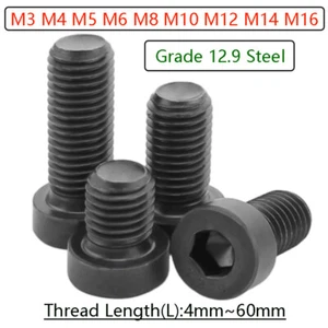 Tornillos de cabeza de tapa delgada Tornillos de enchufe de llave Allen de acero M3 M4 M5 M6 M8 M10 M12 M14 M16 - Imagen 1 de 77