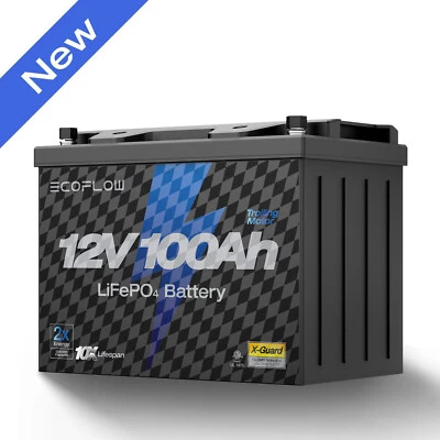 EcoFlow 12V 100Ah LiFePO4 Deep Cycle Lithium Battery BMS For Trolling Motor
