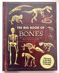 The Big Book of Bones 🦴 - Silver Dolphin Books - Very Good - Picture 1 of 6