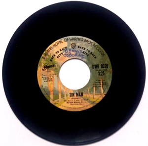 AMERICA - Tin Man / Don't Cross The River- Vinyl 45rpm 1974 Warner Bros GWB 0320 - Imagen 1 de 4