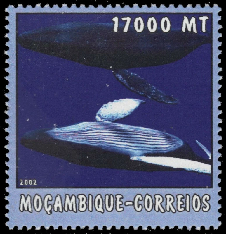 MOZAMBIQUE 1652c - Humpback Whale (pb40399) - Image 1 of 1