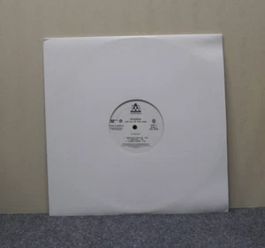 12" 2xLP VG++/EX Prodigy The Fat Of The Land 1997 Maverick Promo PRO-A-8929-A - Picture 1 of 7