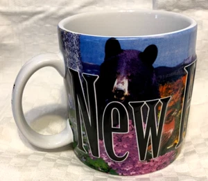 Tazza New Hampshire con lettere 3D 18 oz Americaware Bear Moose Mountains NH - Foto 1 di 7