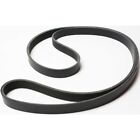 Drive Belt for VW Chevy Olds Town and Country Pickup Cutlass Ford Focus 911 4300