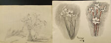 2 Zeichnungen " Blumen Studien "Kohle/Blei/Tusche sign./dat. M.Hunsinger  45/48