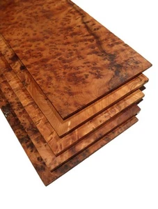 1x Madera de Thuja Tabla Thuya Veta 35x14-15cm x 10-12mm #1 Burl Mango para - Imagen 1 de 12