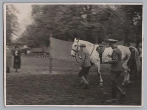 Berlín - Salto de caza Tiergarten - Teniente superior HASSE caballo TORA Olimpia - foto - Imagen 1 de 2