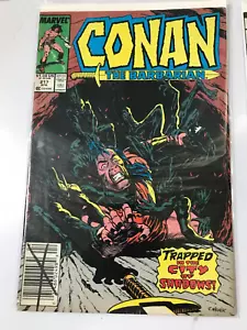 Conan: Der Barbar # 217 Marvel 1989 - Bild 1 von 1