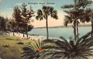 Bermuda - Harrington Sound - SEE SCANS FOR CONDITION - Publ. Phoenix Drug Co. - Picture 1 of 2