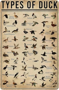 Vintage Duck Species Tin Sign 8x12 Rustic Metal Wall Art for Hunters Man Cave - Picture 1 of 6