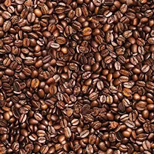 100% Cotton Fabric Timeless Treasures Packed Coffee Beans Cafe Roast 112cm Wide - Picture 1 of 1