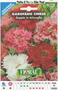 GAROFANO CINESE - AIUOLE BORDURE GIARDINI ROCCIOSI-FLORAL - BUSTA SEMENTI - Bild 1 von 1