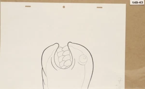 SpongeBob Original Production Drawing 149-43 - Used Condition - Picture 1 of 3