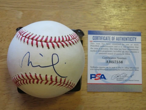 MICHELLE WILLIAMS signed OML Baseball PSA AH57556 Dawson's Creek MARILYN MONROE Cover