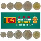 5 SRI LANKA COINS FROM SOUTH ASIA ISLAND FOREIGN OLD COLLECTIBLE MONEY RUPEES