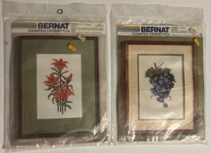 Bernat Counted Crosstitch Kit Grapes & Prairie Lily 14 Mesh Helen Burgess Lot 2 - Picture 1 of 2