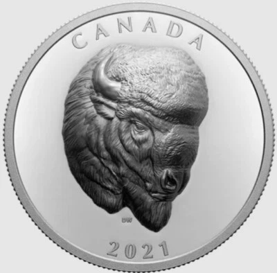 BOLD BISON 2021 CANADA ExtraOrdinary High Relief 1oz .9999 Pure Silver $25 Coin - Image 1 of 3