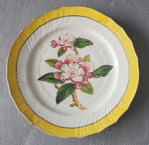 ANTIGUA PLACA COALPORT BOTÁNICA PINTADA A MANO CODLIN MANZANA BLOFSON C1805-10 - Imagen 1 de 6