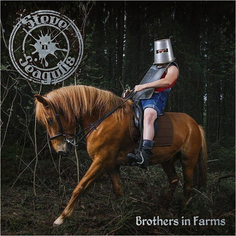 STEVE 'N' SEAGULLS - Brothers In Farms DIGI-CD - Bild 1 von 1