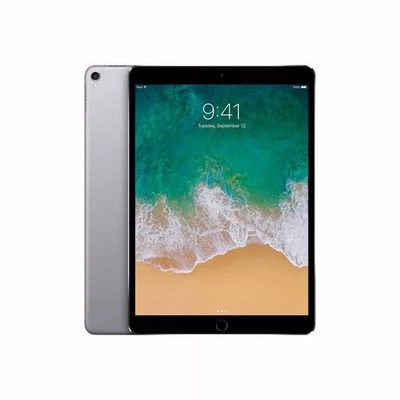 iPad Pro 10,5 Cellular 64 GB, Volle Funktion - Bitte Lesen - Bild 1 von 4