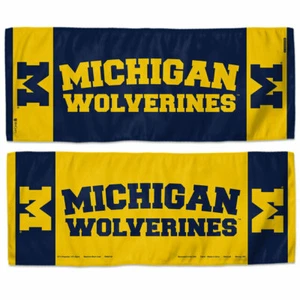 NCAA Michigan Wolverines 12x30 Double Sided Cooling Towel Keep Cool in Summer - Picture 1 of 1