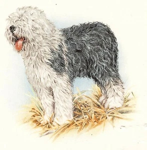 2 pcs Sheep Dog Black White 2.5 X 2.5" Overglaze Waterslide Ceramic Decals - Picture 1 of 1