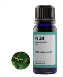 Ho Leaf 100% Pure Essential Oil  5ml 10ml  20ml - Picture 1 of 3