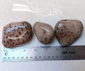 3 Pink Petoskey Stone 14.5 oz Unpolished Lot Hexagonaria Michigan Fossils - Picture 1 of 4