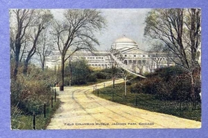 Field Columbian Museum Jackson Park Chicago cartolina d'epoca storica c1917 - Foto 1 di 2
