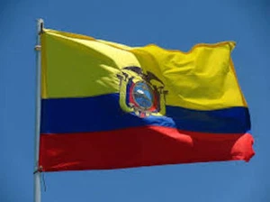 Bandera Gigante 150cm x 90cm Bandera de Ecuador Bandera Oficial de Ceremonia - Imagen 1 de 6