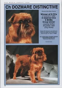 BRUSSELS GRIFFON DOG WORLD BREED KENNEL ADVERT PRINT PAGE CH.DOZMARE DISTINCTIVE - Picture 1 of 1