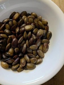 10 Soursop Seeds - Picture 1 of 2