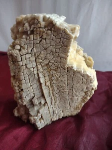 Madera Petrificada, Calcita Miel Cremosa, Bandas, Digna de Museo, Rara 2Lb. 9oz.  - Imagen 1 de 14