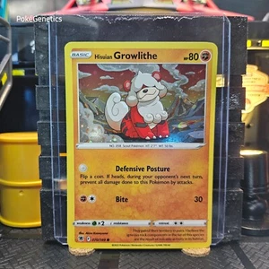 Hisuian Growlithe Astral Radiance Cosmos Holo Promo Pokémon TCG 070/189 - Imagen 1 de 6