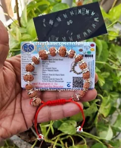 Siddha Rudraksha Armband 1 bis 14 Mukhi Rudraksh Java Perlen Silber Kappe ~ zertifiziert - Bild 1 von 5
