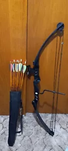 Southland Archery Supply Siege 55 lb 29'' Compound Bow Target w/12 Easton arrows - Picture 1 of 3