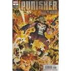 Punisher Kill Krew #1 in Near Mint condition. Marvel comics [s,